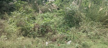 Plot Area in  Plot at Sharda Nagar – for Sale