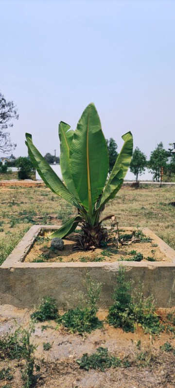  Plot – Exterior View View at Nawabpet - for Sale