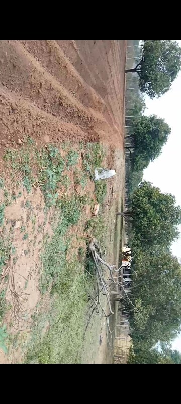  Land For Sale in Forest Ridge, Shamirpet
