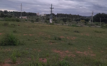 Plot For Sale in Dodda Aalada Mara Road