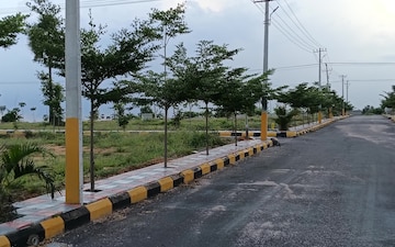 Plot For Sale in Thumukunta