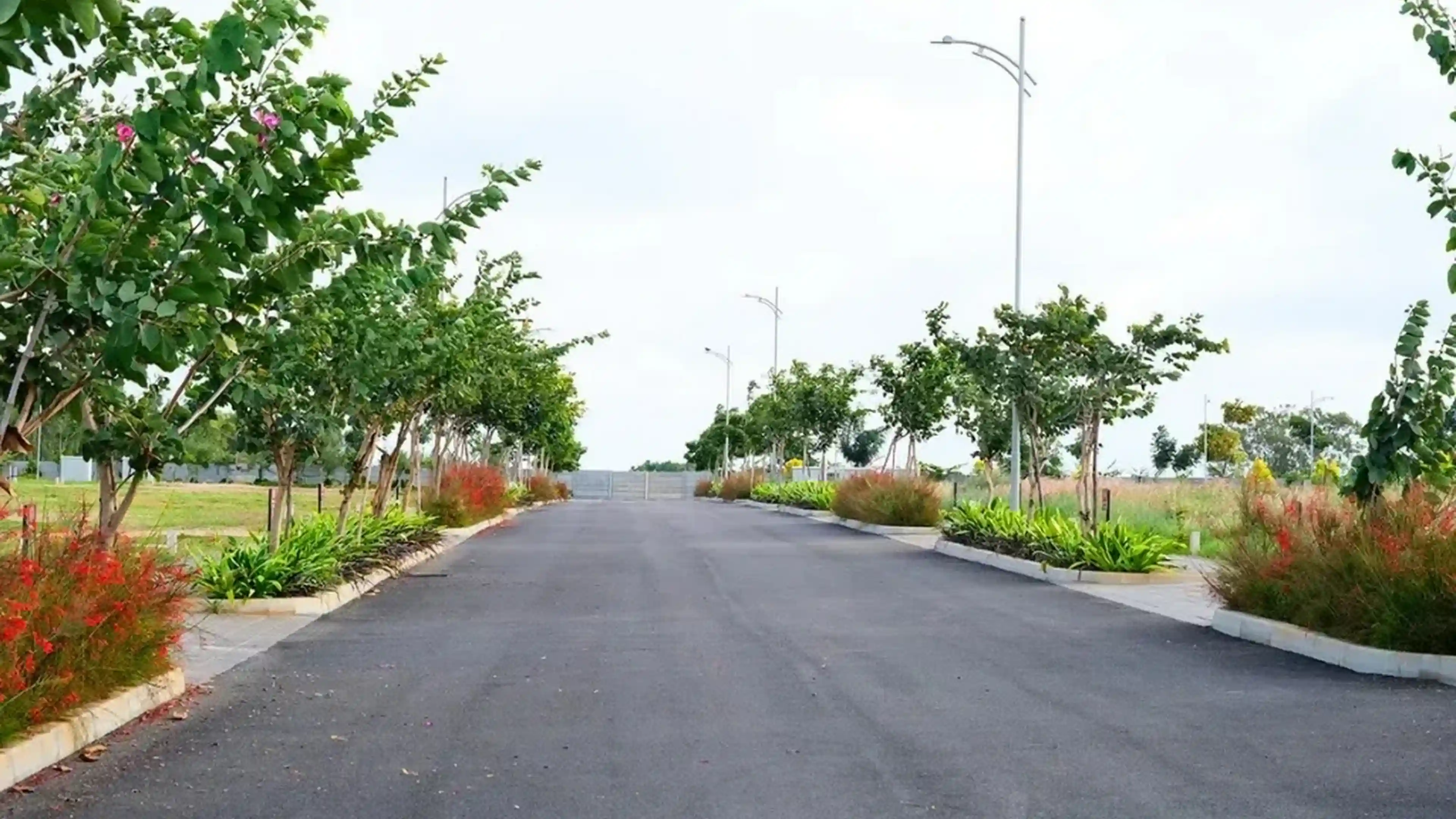 Plot For Resale in Shriram Pristine Estates Doddaballapur Bangalore  7472389