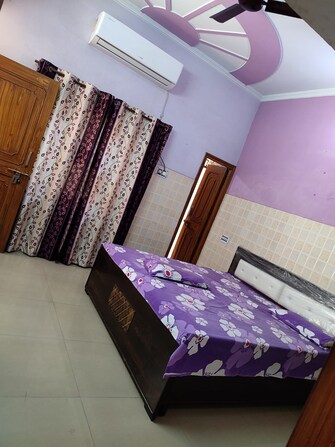 2 BHK Independent House For Rent in Sector 14 Sonipat  7472513