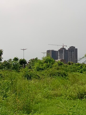  Plot For Sale in New Chandigarh