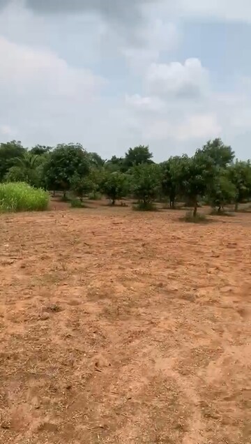  Land For Sale in Moinabad