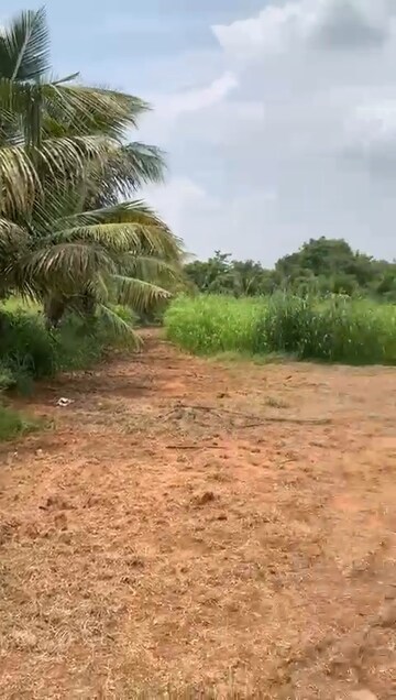 Plot Area in  Land at Moinabad – for Sale