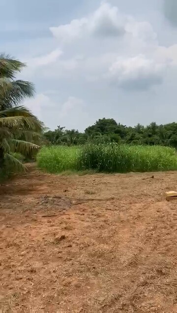 Plot Area in  Land at Moinabad – for Sale