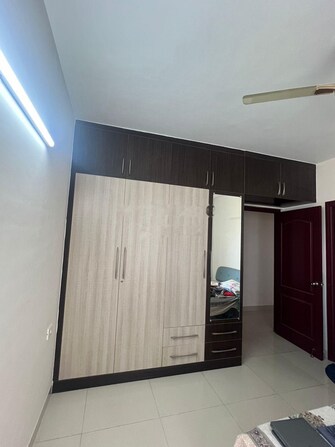 3 BHK Apartment For Rent in SJR Redwoods Sarjapur Road Bangalore  7472694