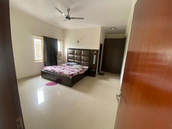 5 BHK Apartment For Rent in Omaxe Putting Greens Nri City Greater Noida  7472898