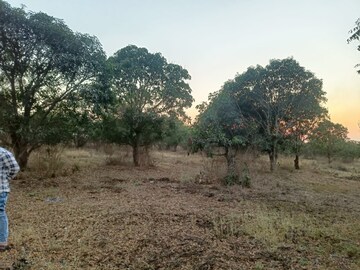 Plot Area in  Plot at Budhera – for Sale