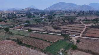 Commercial Land 40 Acre For Resale in Nandi Hills Bangalore  7473328