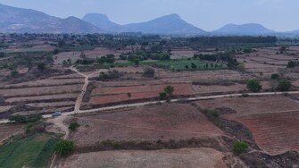 Commercial Land 40 Acre For Resale in Nandi Hills Bangalore  7473328