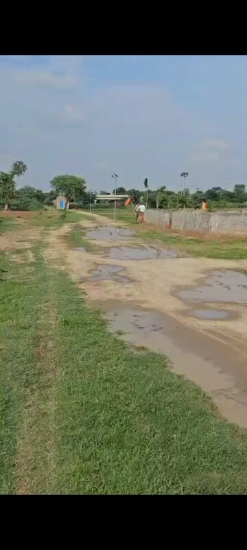 Plot Area in  Plot at Tappal – for Sale