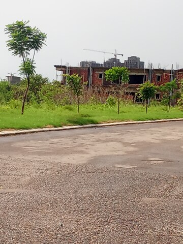  Plot For Sale in Altus Prime, North Mullanpur