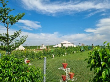  Plot – Garden View at Chaumuhan - for Sale