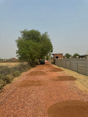  Plot – Nearby View at Chhata - for Sale
