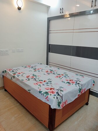 2 BHK Apartment For Rent in Gaur City 7th Avenue Sector 4, Greater Noida Greater Noida  7473957