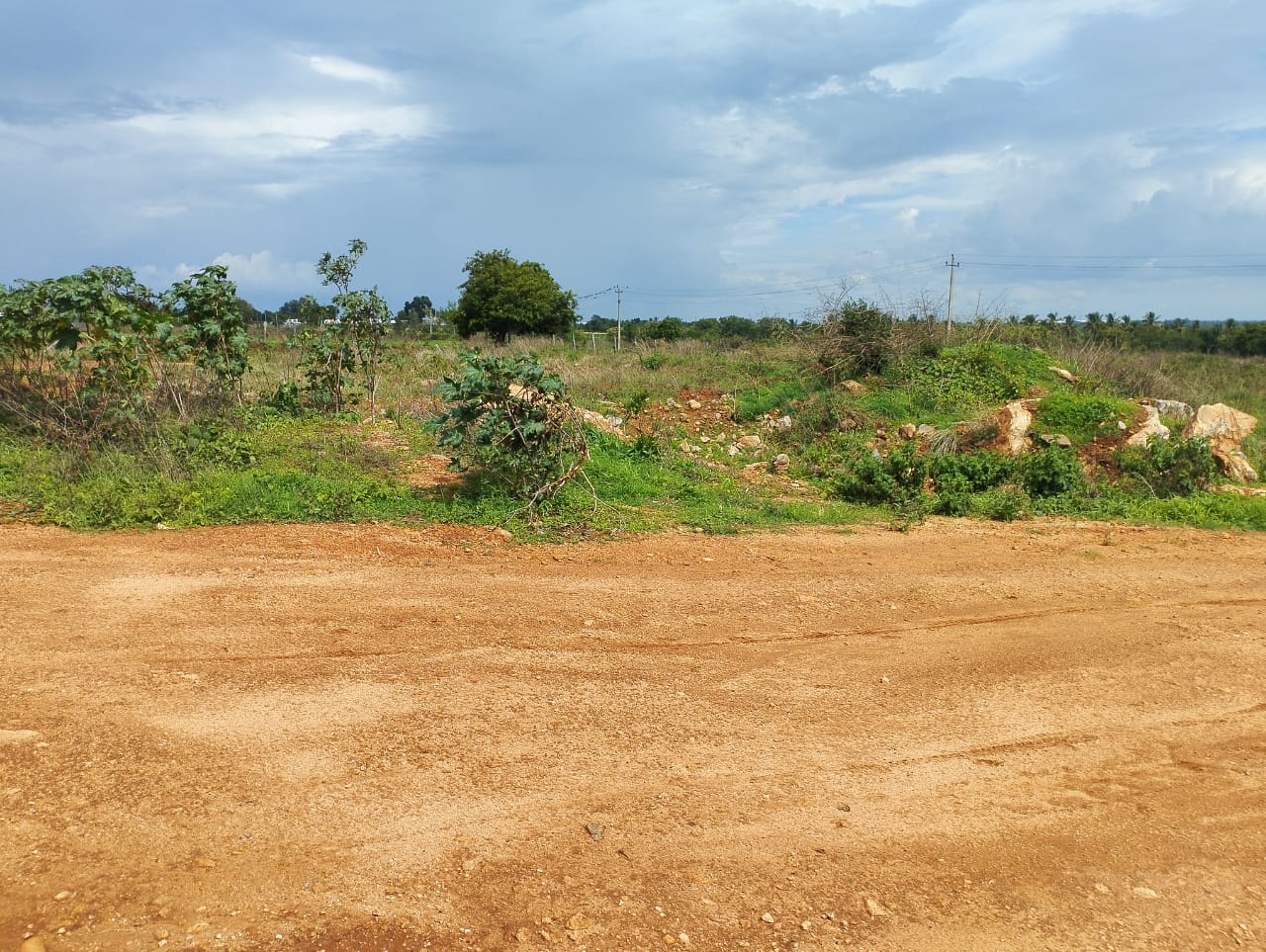 Commercial Land 30 Acre For Resale in Dobbaspet Bangalore  7474615