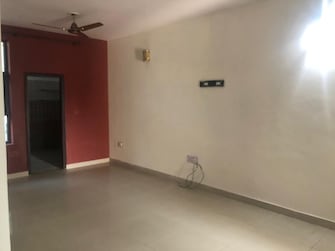 2 BHK Builder Floor For Rent in RWA Apartments Sector 53 Sector 53 Noida  7474713