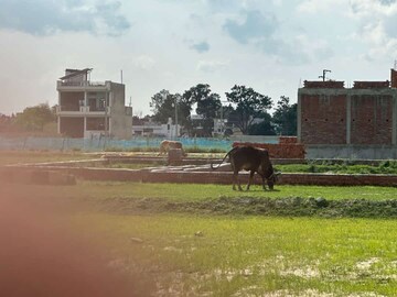  Plot – Exterior View View at Kisan Path - for Sale