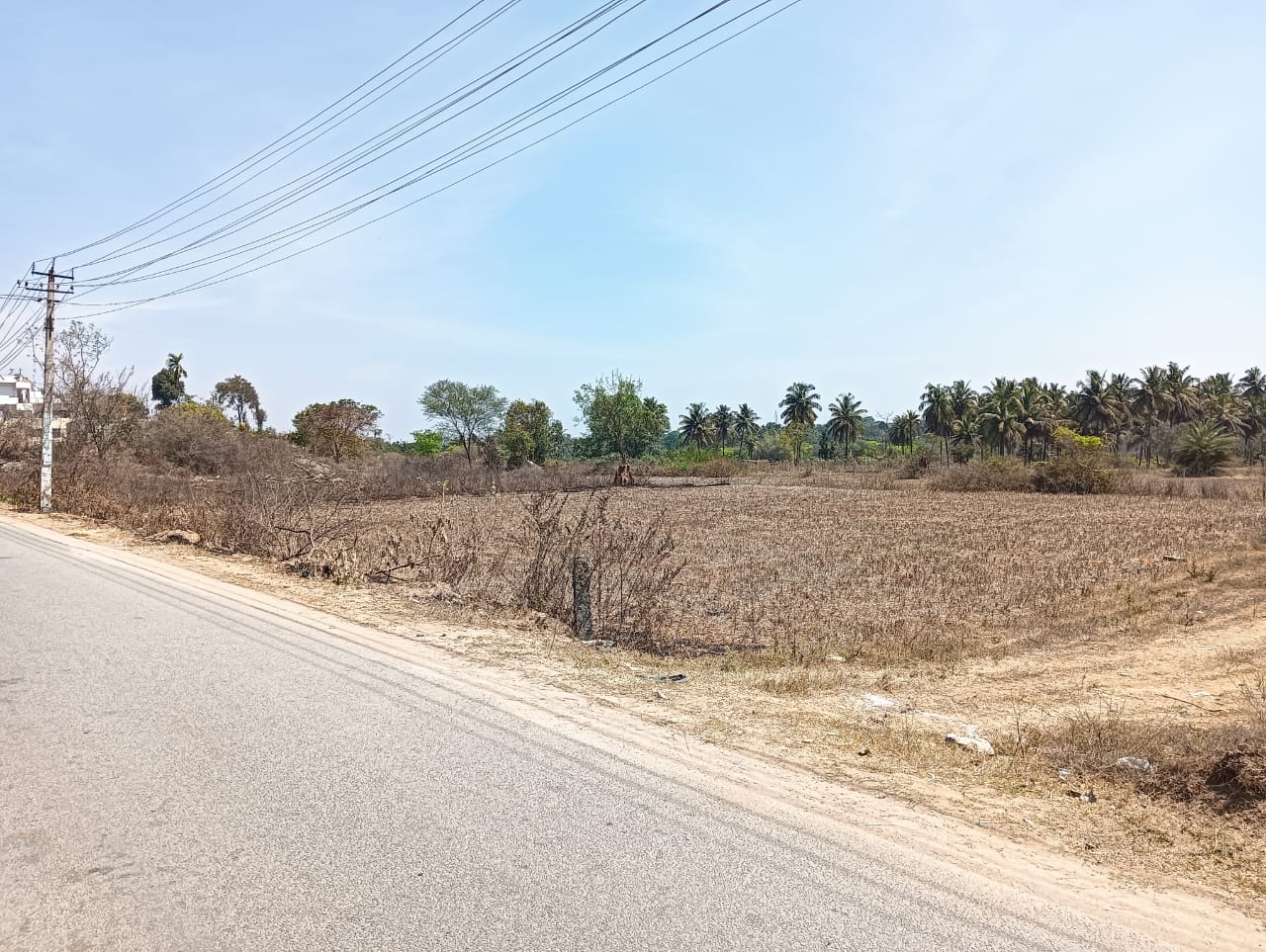 Commercial Land 8 Acre For Resale in Dobbaspet Bangalore  7474873