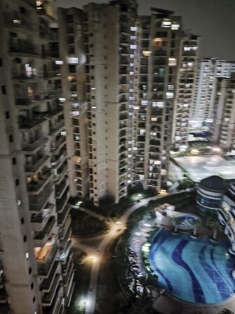 2 BHK Apartment For Rent in Ajnara Homes Noida Ext Sector 16b Greater Noida  7475155