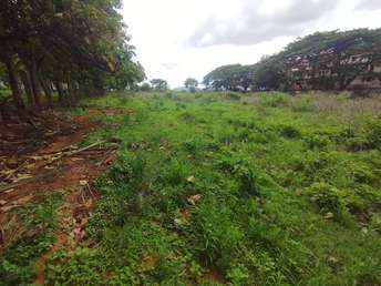 Commercial Land 80 Acre For Resale in Devanahalli Bangalore  7475138