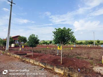 Plot Area in  Plot at Budhera – for Sale
