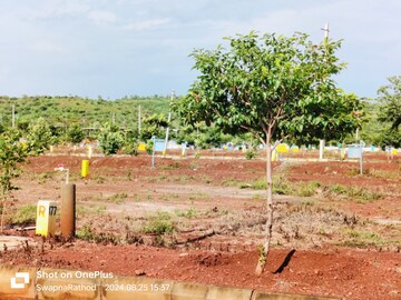 Plot Area in  Plot at Budhera – for Sale