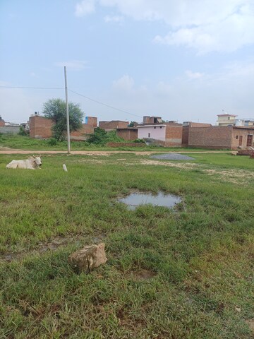  Plot – Garden View at Bhopani - for Sale