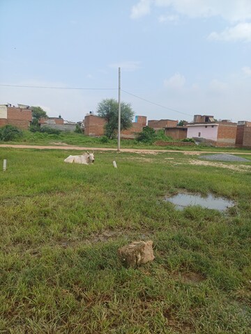  Plot – Garden View at Bhopani - for Sale