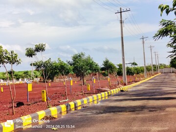 Plot For Resale in Budhera Hyderabad  7475808