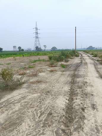 Plot For Resale in Sector 40 Panipat  7475796