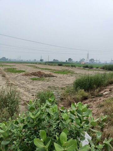 Plot Area in  Plot at Sector 40 – for Sale