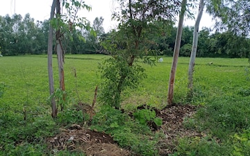 Land For Sale in Raebareli Road