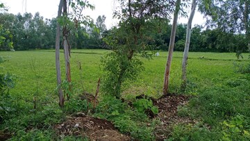  Land For Sale in Sandila