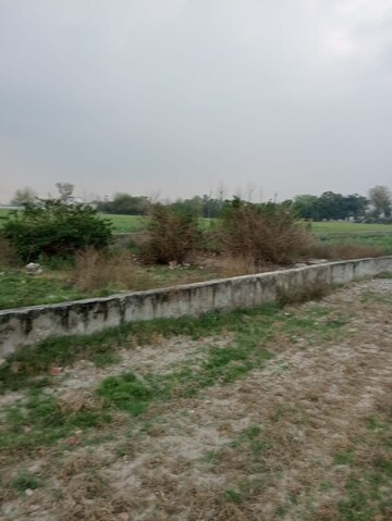  Plot – Garden View at Chhata - for Sale