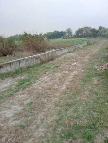 Plot Area in  Plot at Chhata – for Sale