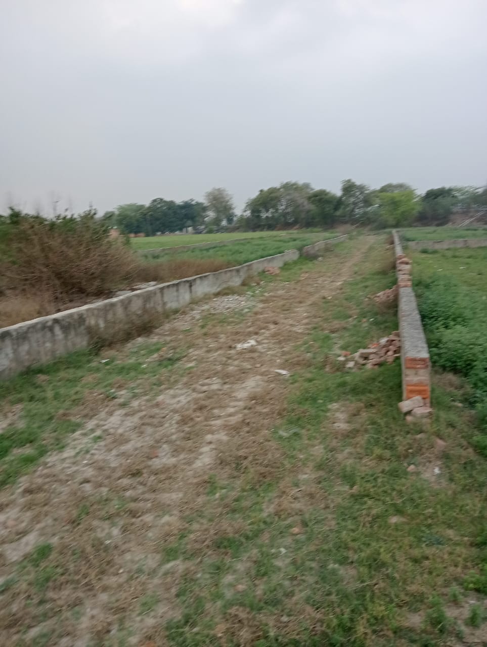 Plot For Resale in Chaumuhan Mathura  7476606