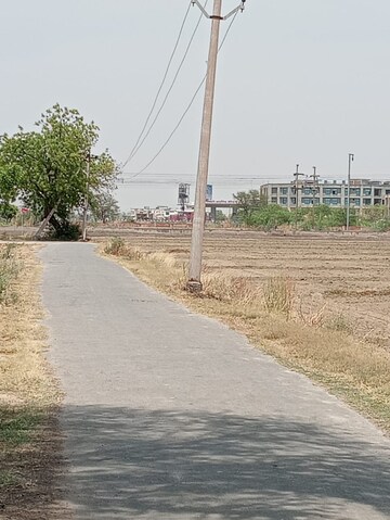Plot Area in  Plot at Chaumuhan – for Sale
