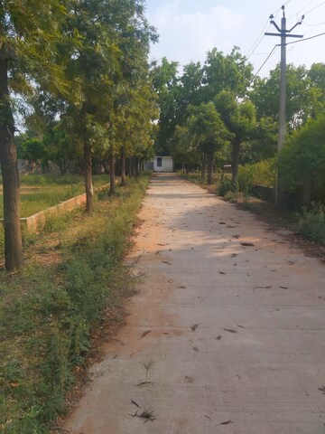  Plot For Sale in Mohanlalganj