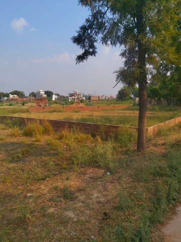 Plot Area in  Plot at Mohanlalganj – for Sale