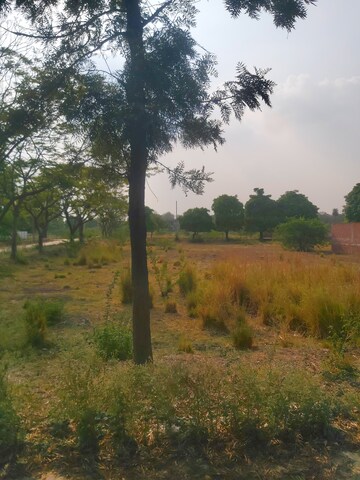 Plot Area in  Plot at Mohanlalganj – for Sale