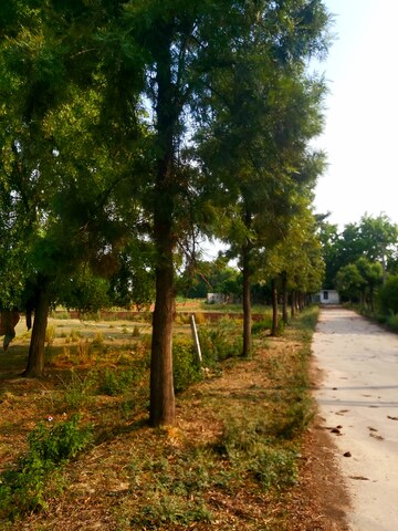  Plot – Exterior View View at Mohanlalganj - for Sale