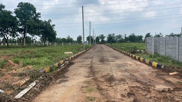  Plot For Sale in Lankelapalem