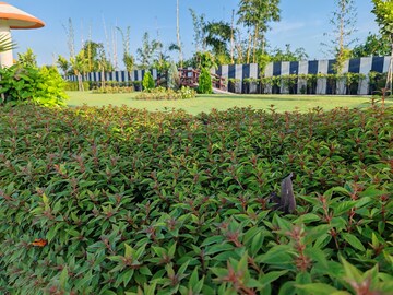  Plot For Sale in Indore Bypass Road
