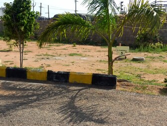 Plot For Resale in Shanthi Nagar Hyderabad  7477030