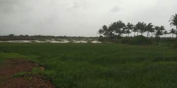 Plot Area in  Plot at Pen – for Sale