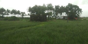 Plot Area in  Plot at Pen – for Sale
