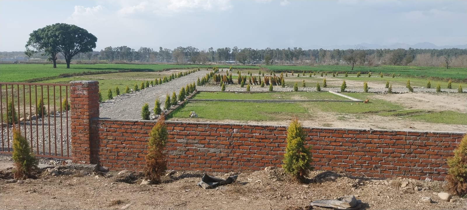 Plot For Resale in Selakui Dehradun  7477110